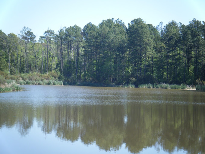 Faulkner Lake